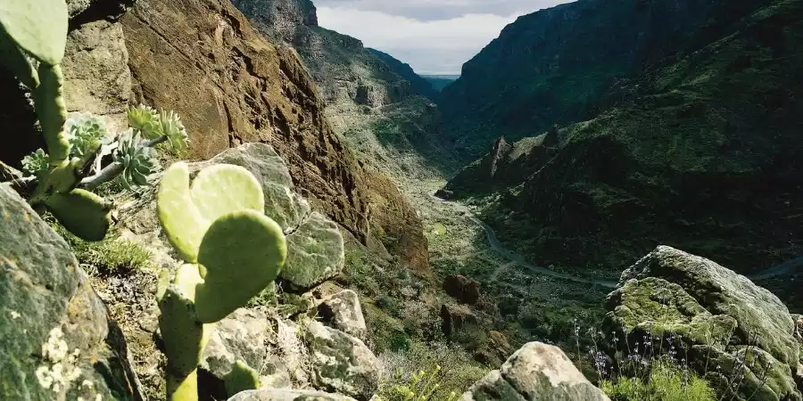 Monumento Natural Barranco de Guayadeque