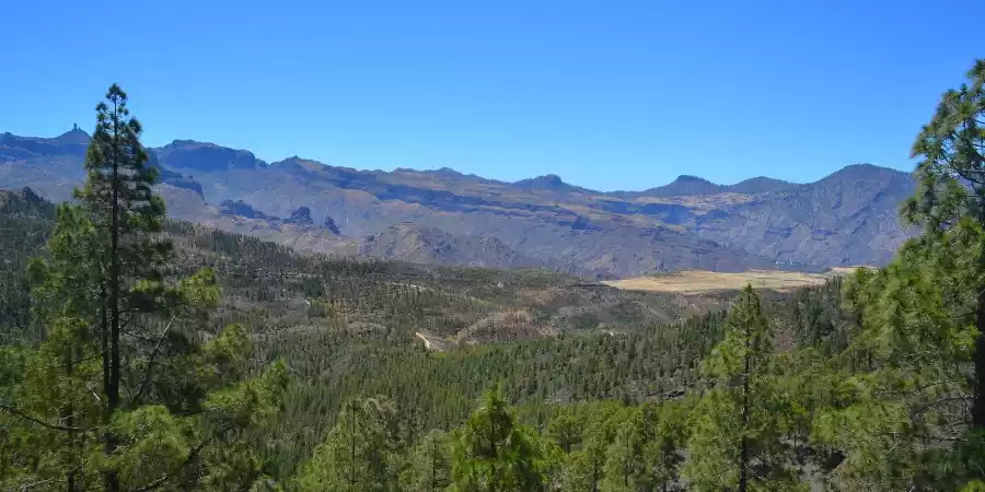 Parque Natural de Tamadaba