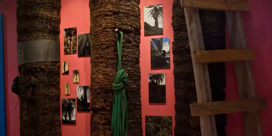 Centro de Interpretación Casa de la Miel de Palma