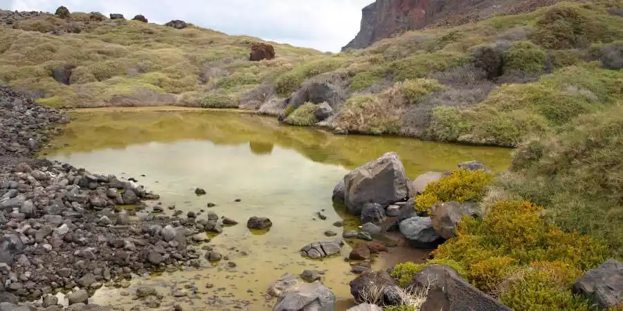 Sitio de Interés Científico del Charco de Cieno