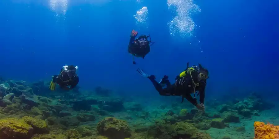 Actividades náuticas en La Gomera