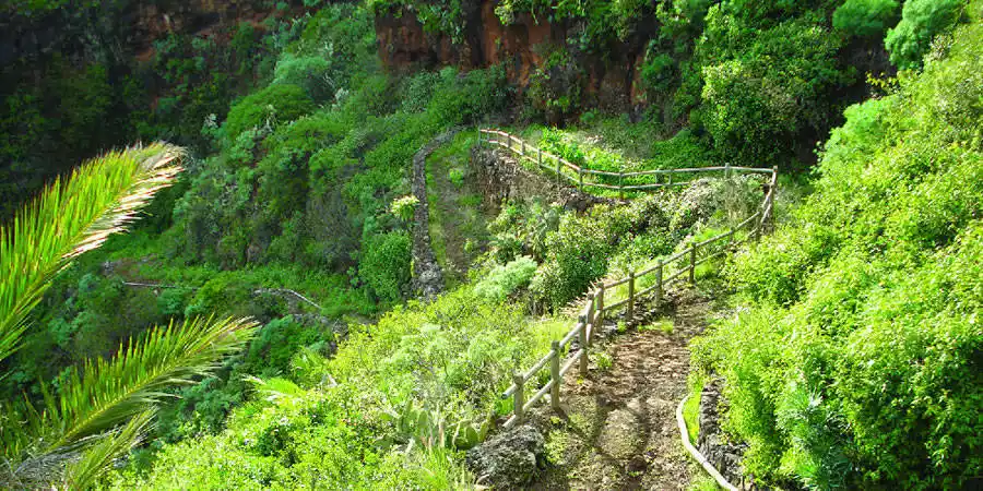 Sitio de Interés Científico del Barranco del Agua