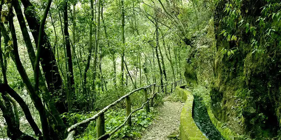 Espacios protegidos de La Palma