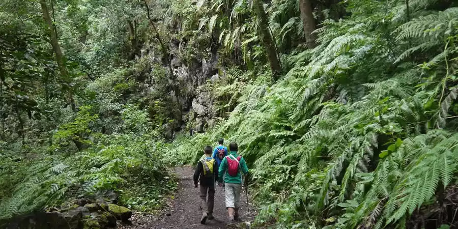 Parque Natural de Las Nieves